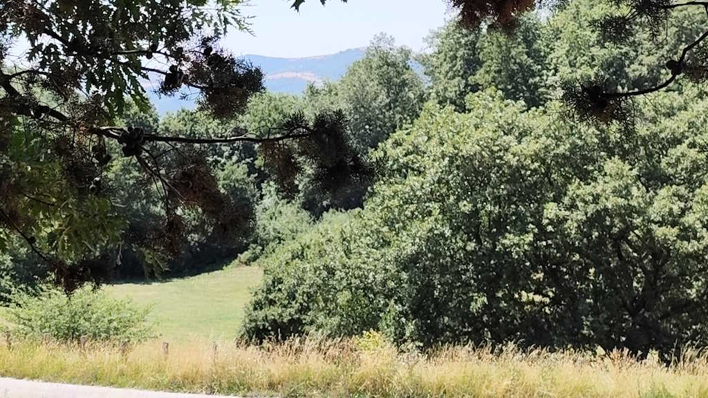 Umbria — Monte Alago e Nocera Umbra: tra natura e storia