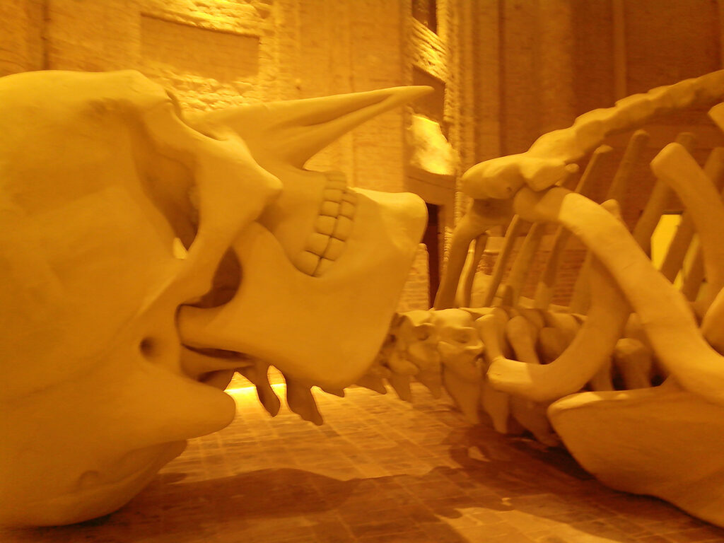 Il teschio con becco de La calamita Cosmica