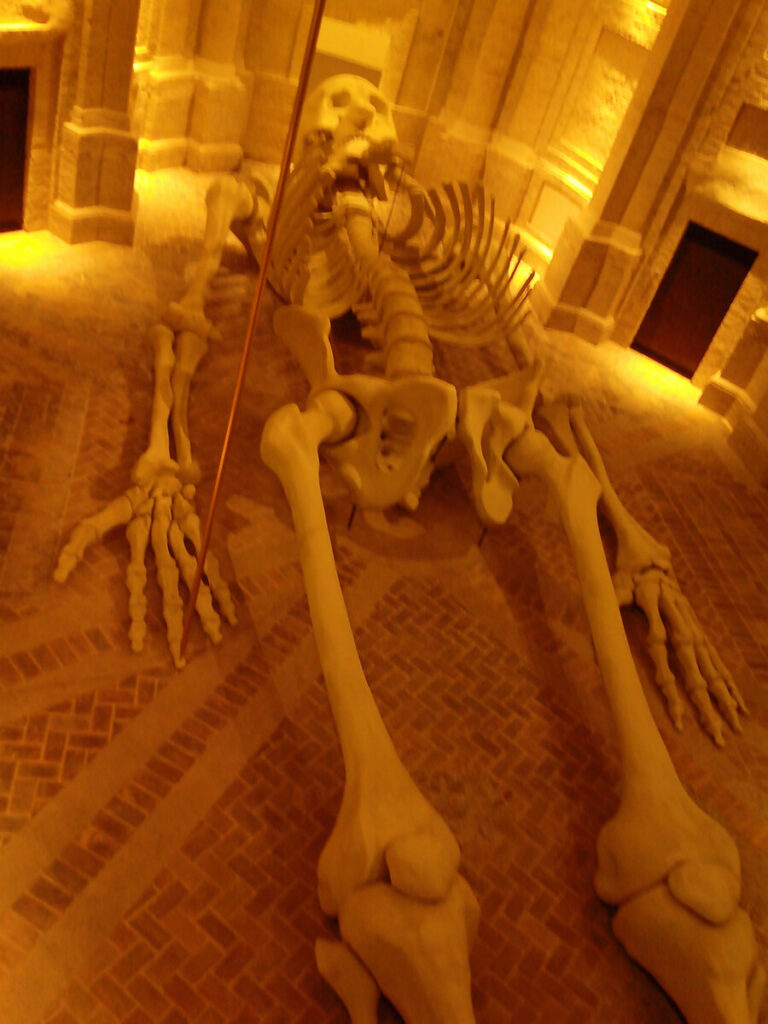 La Calamita cosmica (particolare)