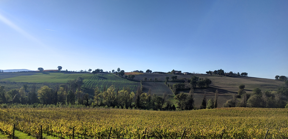Strada del Sagrantino in autunno