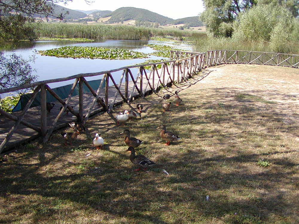 Flora e fauna del parco di Colfiorito