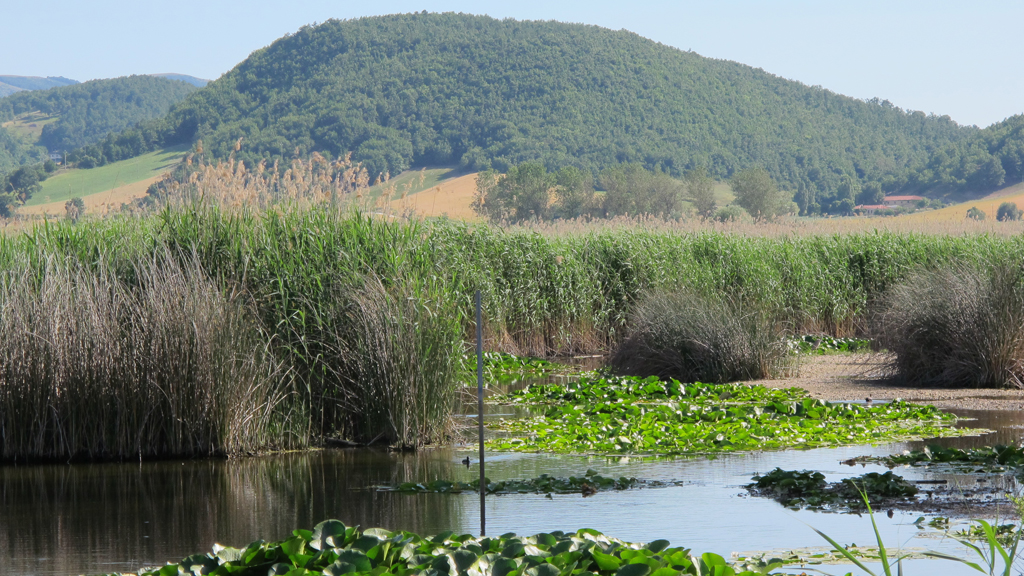 parco regionale colfiorito — Il parco regionale di Colfiorito e la terra dei Plestini