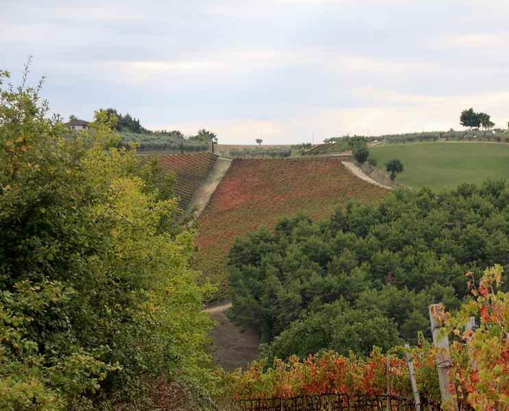 Sagre d'autunno in Umbria: vendemmia e dove dormire