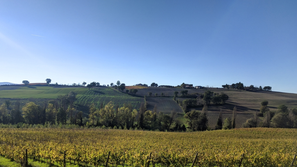 Sagrantino e Bici — Tra vigne di Sagrantino e borghi da fiaba: il tuo giro eno-bici